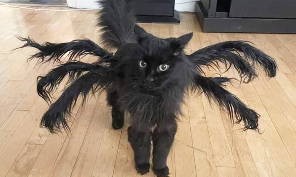 Melhor do X &#8220;Halloween&#8221; edition