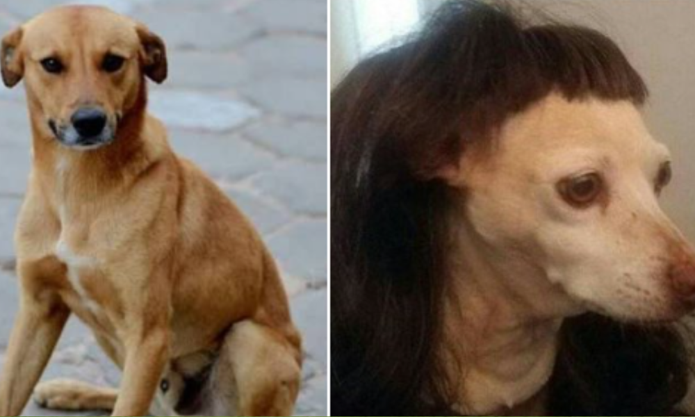 O Melhor do X – “Brasa” edition