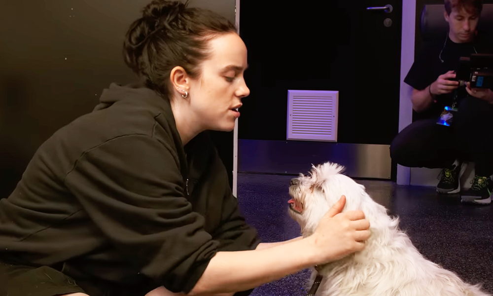 Popnotas – Ops, Bjork deixa escapar sobre o novo disco. Coala Festival anuncia Marcos Valle com Ana Frango Elétrico. O My New Band Believe tocando na loja. O novo trailer da Bjork 3D